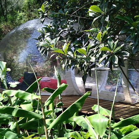 Dans Ma Bulle By C Cibeaulaos Hotel Cilaos Ngoại thất bức ảnh