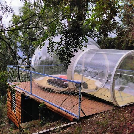 Dans Ma Bulle By C Cibeaulaos Hotel Cilaos Ngoại thất bức ảnh