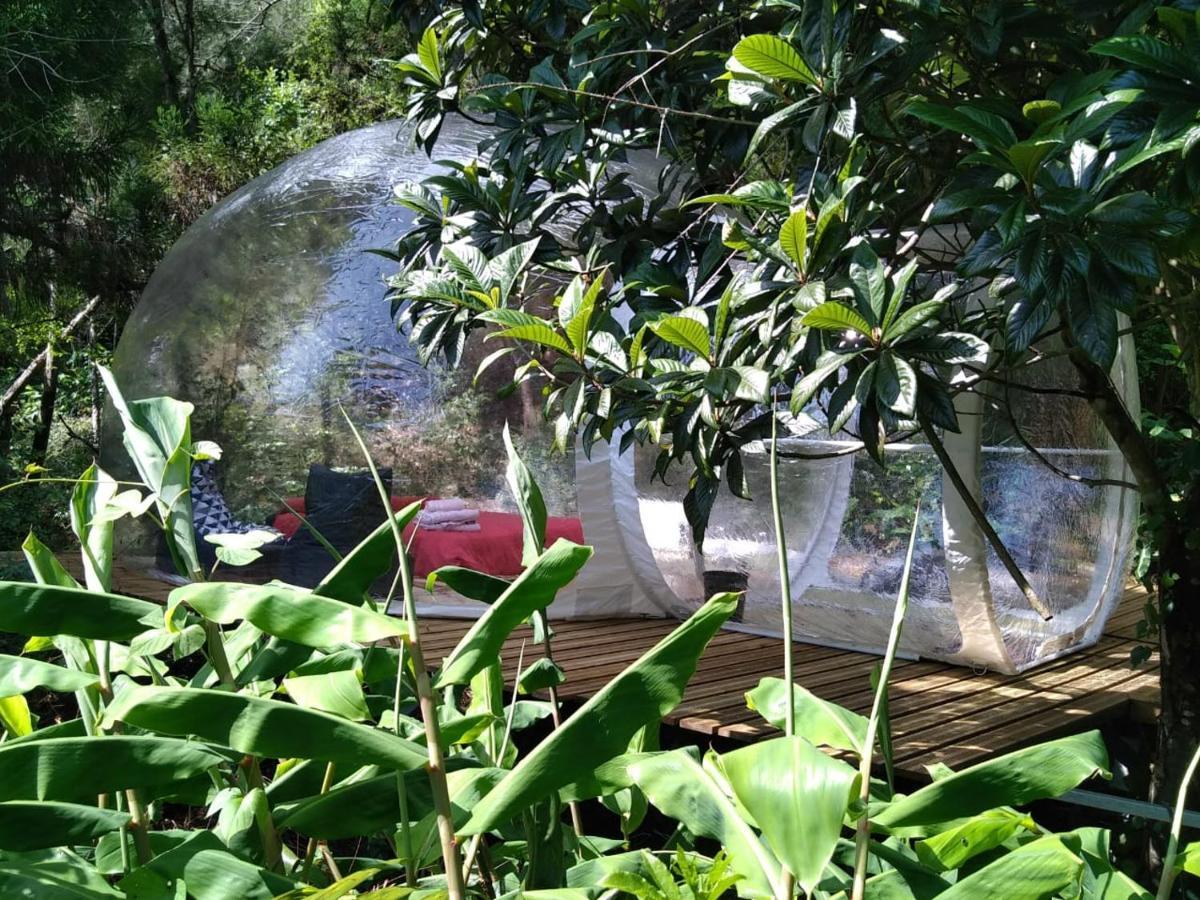 Dans Ma Bulle By C Cibeaulaos Hotel Cilaos Ngoại thất bức ảnh
