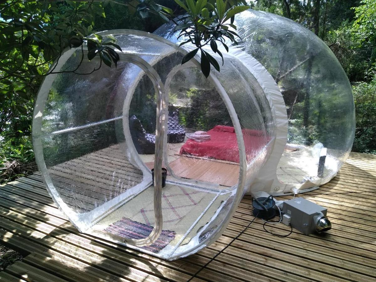 Dans Ma Bulle By C Cibeaulaos Hotel Cilaos Ngoại thất bức ảnh