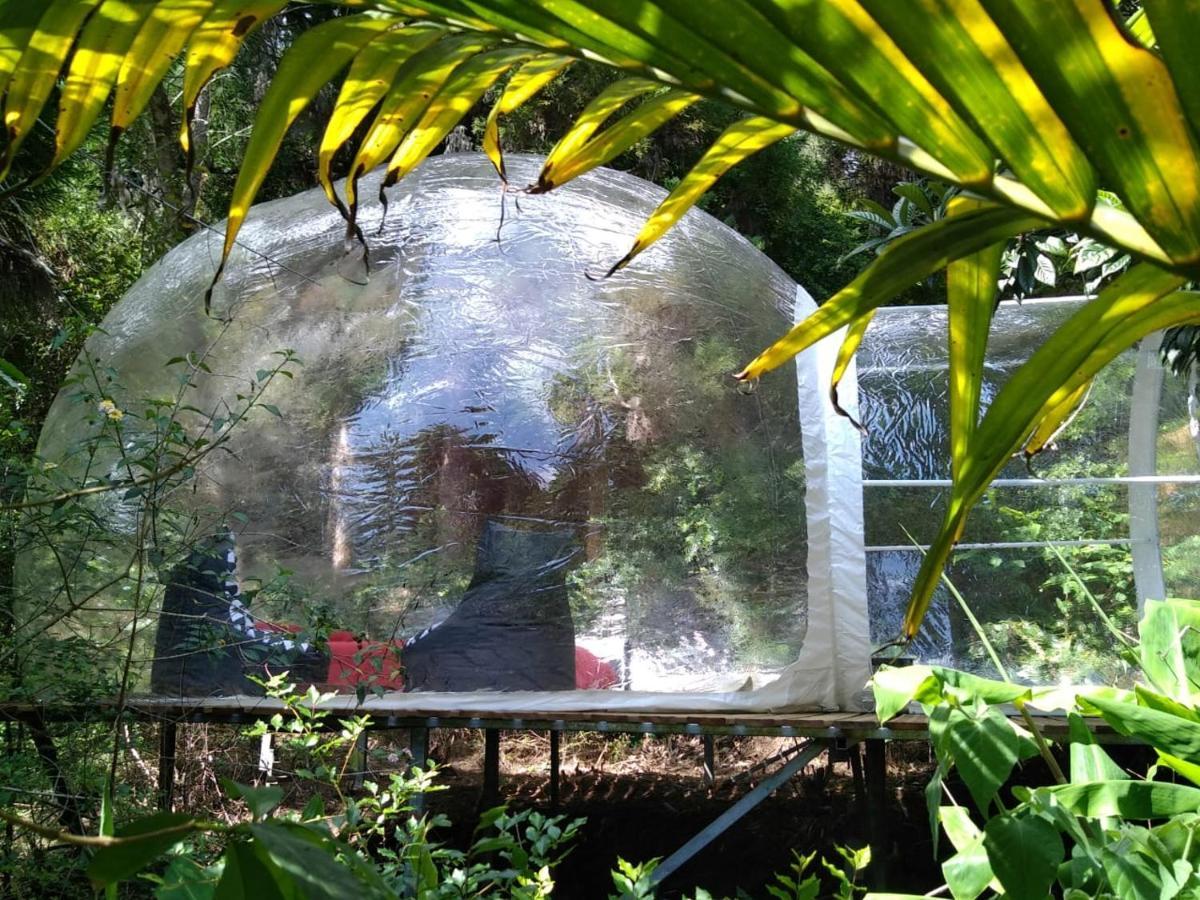 Dans Ma Bulle By C Cibeaulaos Hotel Cilaos Ngoại thất bức ảnh
