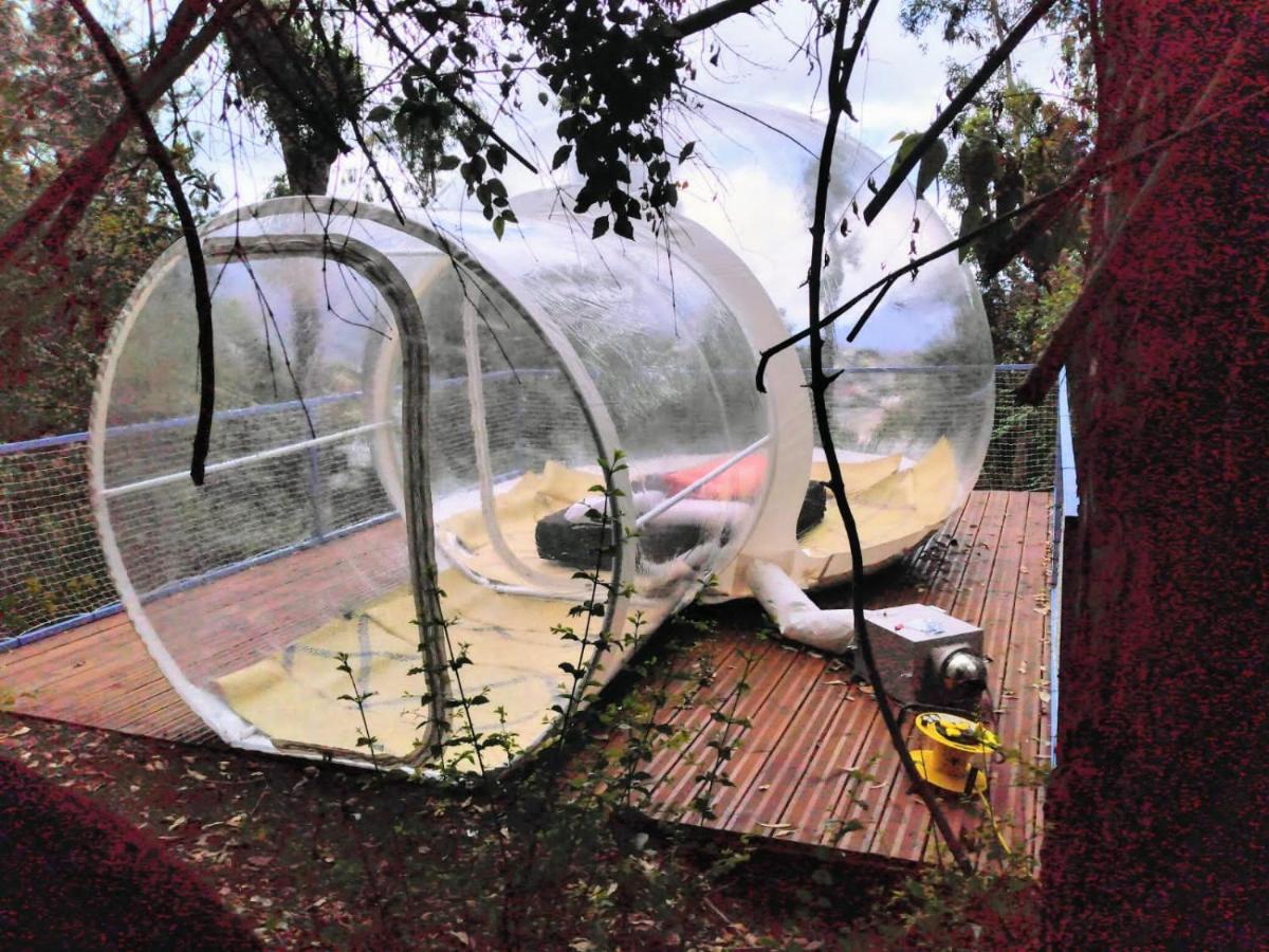 Dans Ma Bulle By C Cibeaulaos Hotel Cilaos Ngoại thất bức ảnh