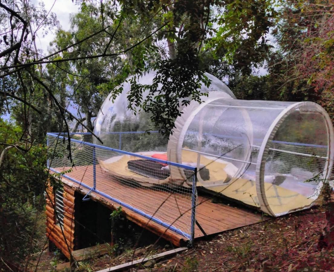 Dans Ma Bulle By C Cibeaulaos Hotel Cilaos Ngoại thất bức ảnh